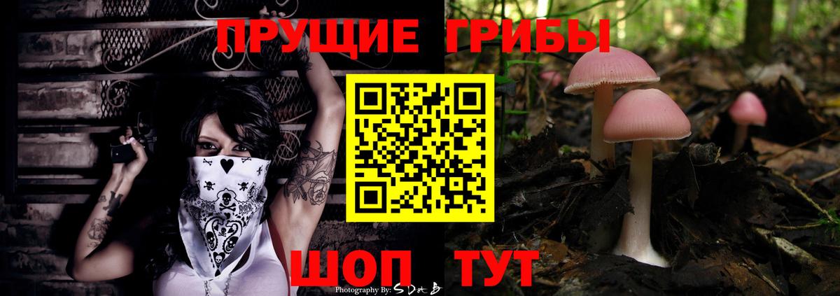 Псилоцибиновые грибы Psilocybe  Вход с VPN  Кубинка 